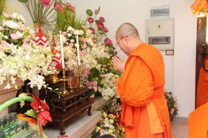 11954824_790578064397885_5334802188863612817_n