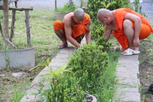 12038476_803921256396899_2818992248905222698_n